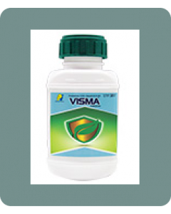 VISMA